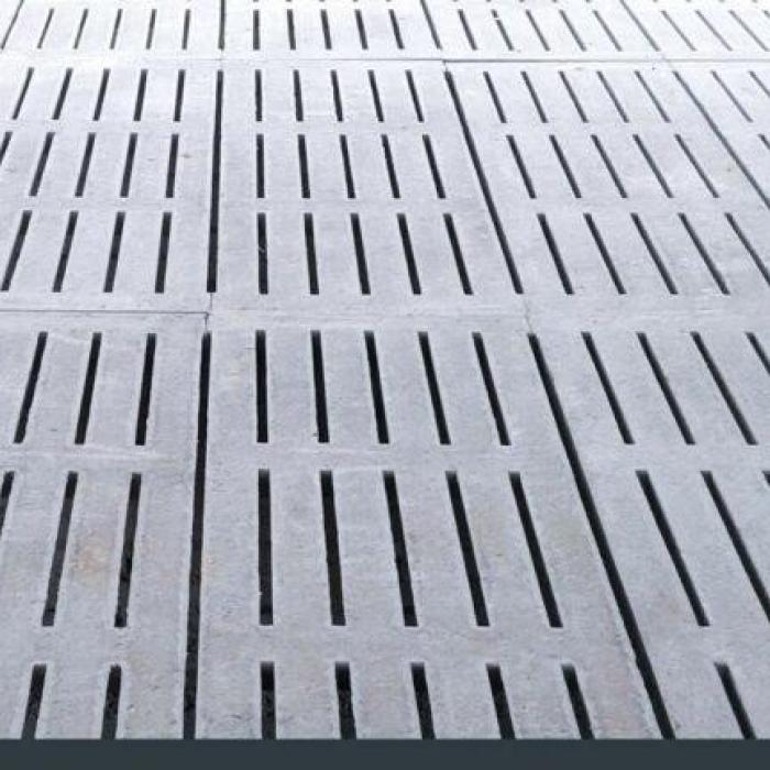 Suinocultura: saiba a importância do concreto usinado para granjas